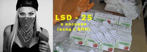 спайс Ладушкин