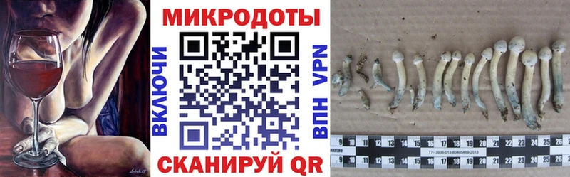 что такое наркотик  Воткинск  Галлюциногенные грибы Psilocybine cubensis 