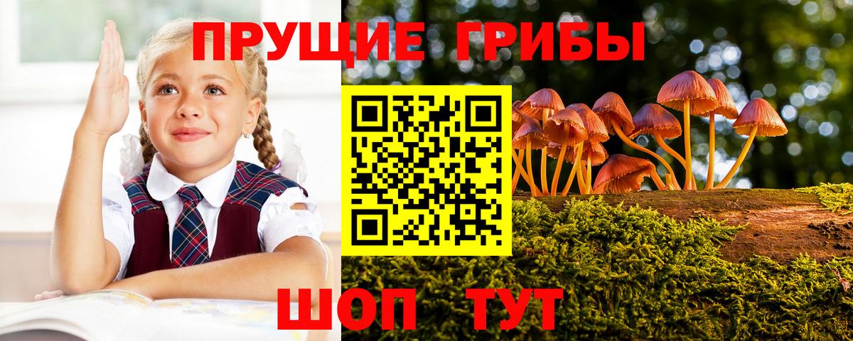 Галлюциногенные грибы мицелий Воткинск