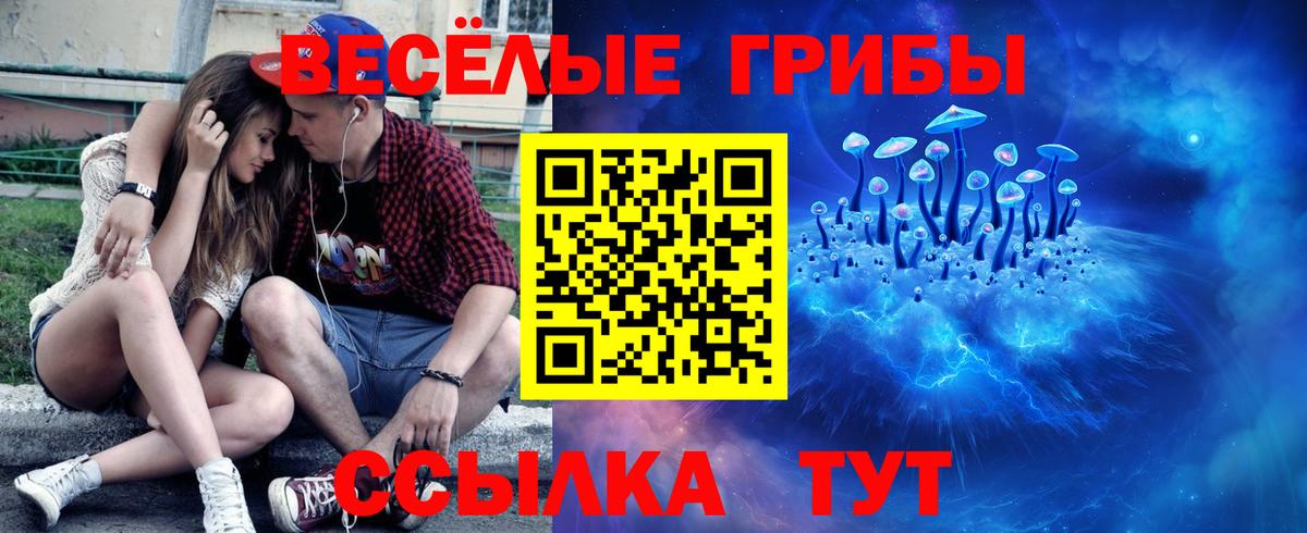 Псилоцибиновые грибы Psilocybe Воткинск