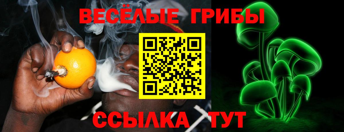 Воткинск  Псилоцибиновые грибы мухоморы  Вход с VPN 