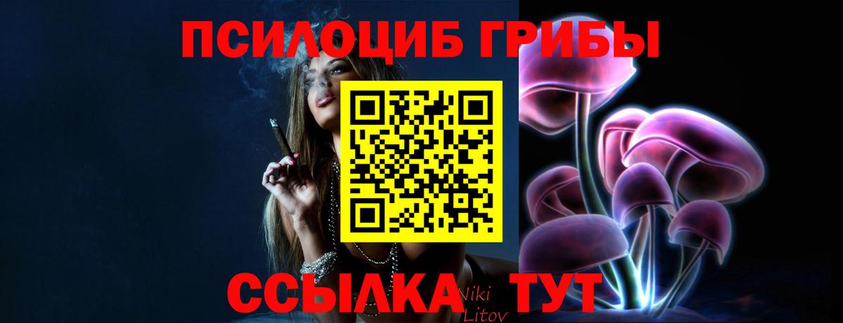 Псилоцибиновые грибы Cubensis  закладка  Воткинск 